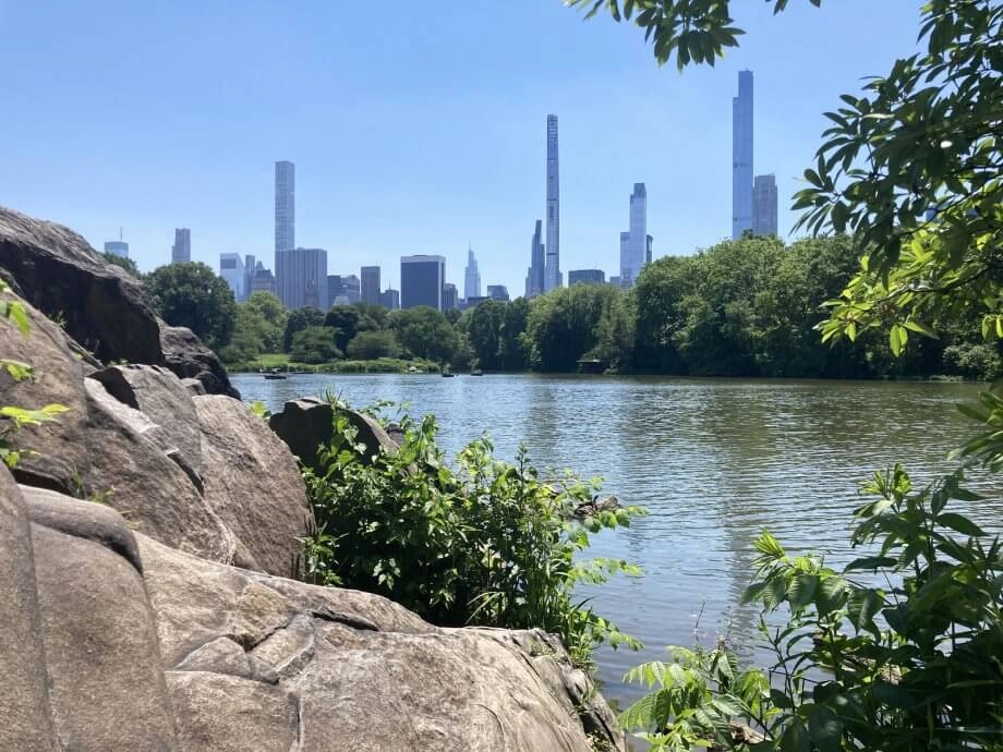 Central Park in New York City with Kids