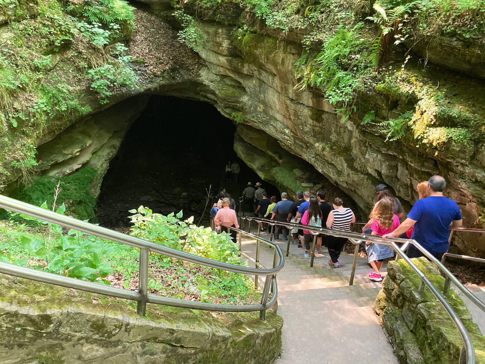 mammoth cave which tour